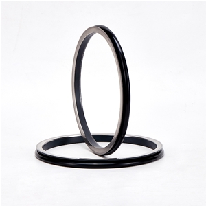 普通型浮動油封環